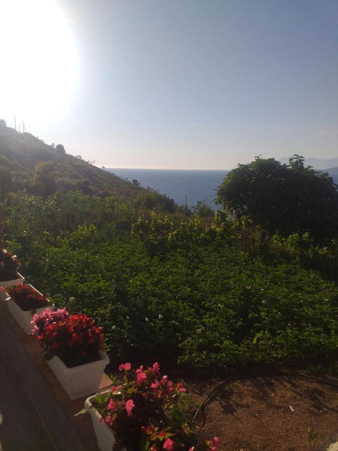 קסאמיל Grand Seaview Apartments מראה חיצוני תמונה